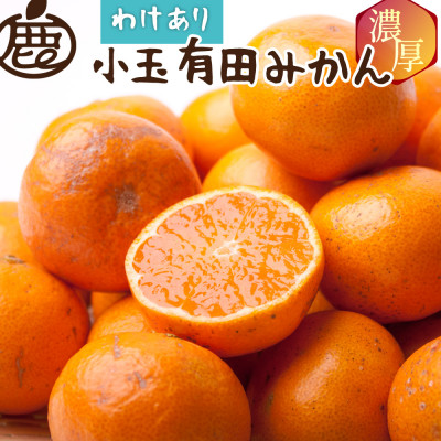 家庭用 小さな有田みかん5kg+250g(傷み補償分)【光センサー選果】【訳あり】【配送不可地域：離島・北海道・沖縄】【1318100】