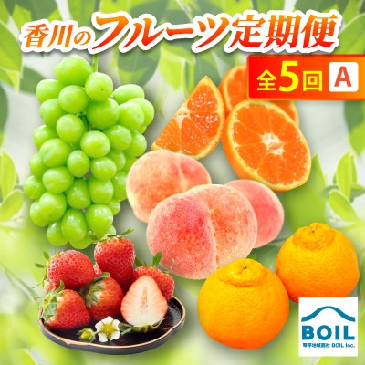 
                  ＜発送月固定定期便＞香川のフルーツ(5A)全5回【4083554】
                