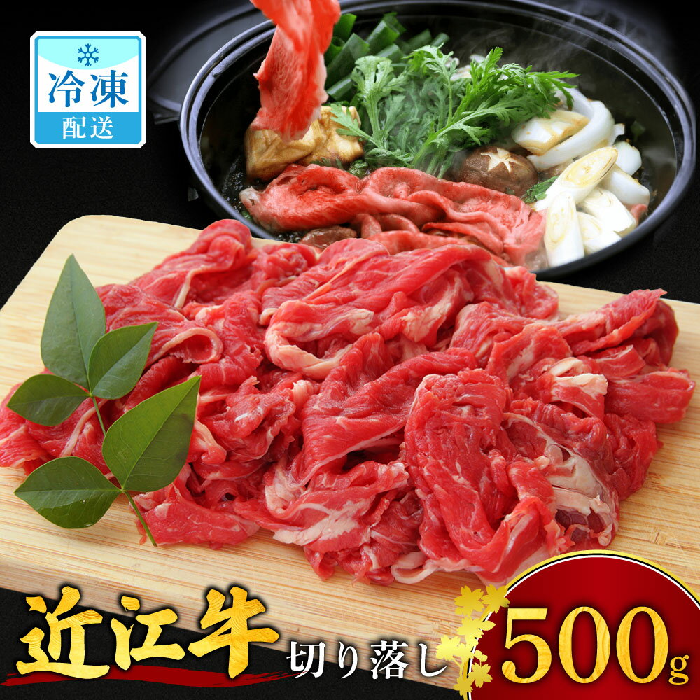 【ふるさと納税】 近江牛 切り落とし 500g ブランド牛 牛肉 高級 人気 国産 和牛 黒毛和牛 冷凍 牛肉 牛 ブランド 三大和牛 牛丼 カレー 惣菜 おかず 切落し 切り落し 贈り物 ギフト 神戸牛 松阪牛 に並ぶ 日本三大和牛 楽天 寄付 返礼品 お歳暮 近江 東近江 A-B16 安田牧場