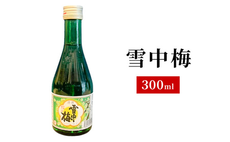 地酒 5銘柄 日本酒セット ギフト 飲み比べ 上越 小瓶 300ml×5本 父の日 国産