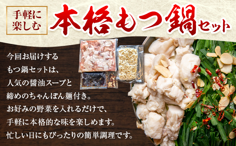 精肉店の もつ鍋 セット ちゃんぽん麵 2～3人前 地域商社ふるさぽ《90日以内に出荷予定(土日祝除く)》福岡県 鞍手郡 小竹町 もつ 鍋 牛モツ 醤油---sc_ffssinkm_90d_26_14