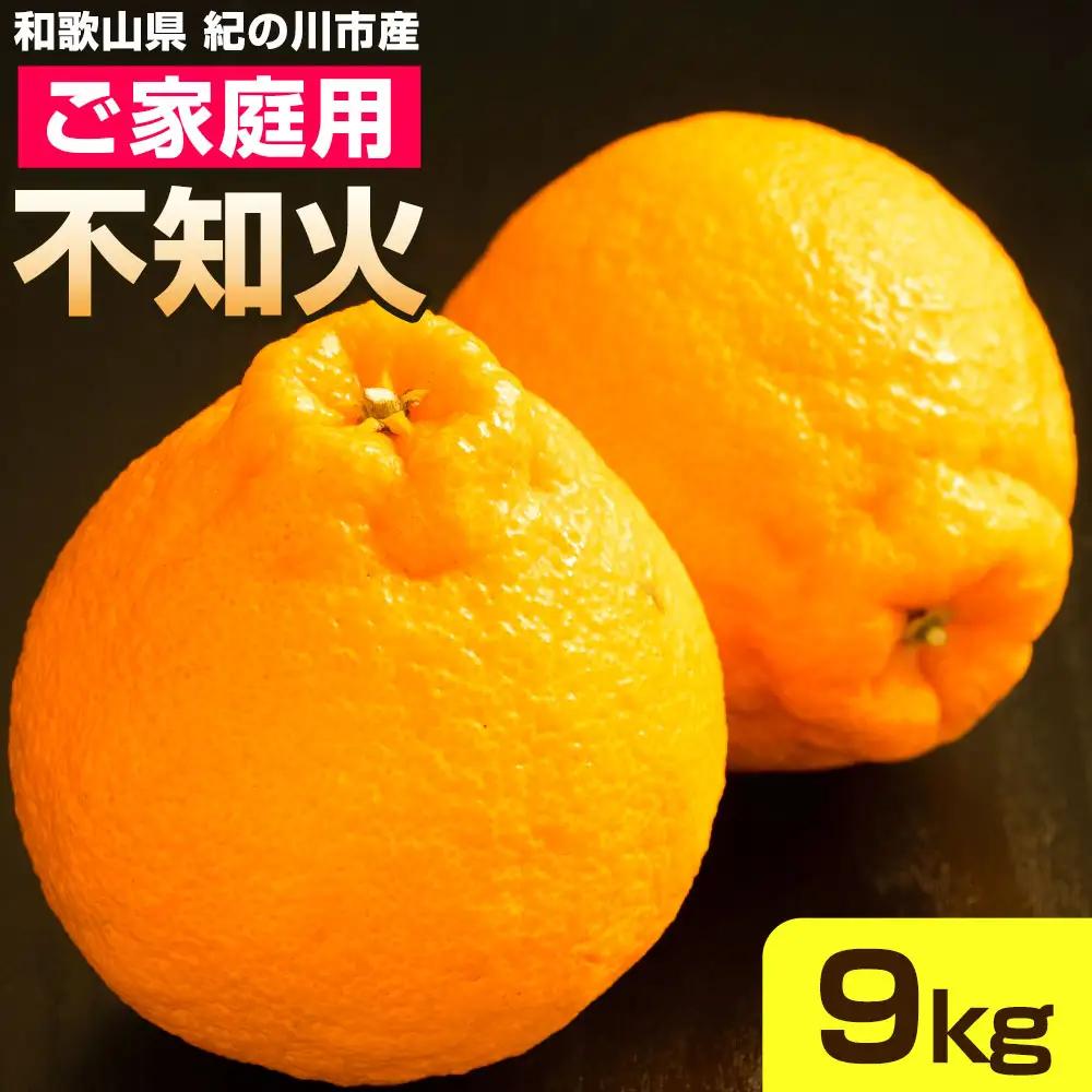 ご家庭用 不知火 約9kg 