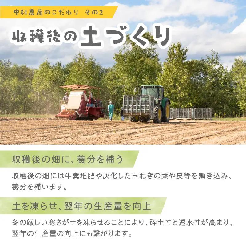 【予約：2026年10月から順次発送】北海道北見産 玉ねぎ 5kg ( 玉ねぎ 野菜 たまねぎ タマネギ 玉葱 甘い ハンバーグ 肉じゃが ふるさと納税 玉ねぎ )【002-0008-2026】