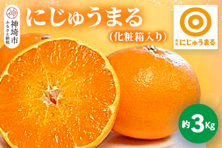 【2026年3月上旬より発送開始】にじゅうまる 約3kg 化粧箱入り【佐賀県 みかん 柑橘 果物 くだもの フルーツ】(H116161)