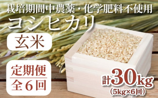 【定期便6回】 玄米 コシヒカリ  計30kg 5kg×6回 定期便 栽培期間中無農薬 ｜ 徳島県 ふるさと納税 新生活 四国 徳島 小松島 新生活 おいしい お米 米 こめ おこめ 国産 限定 ごはん ご飯 ゴハン ふるさと ランキング 人気 安全 安心 栄養 おすすめ 送料無料 国産 TKG 卵かけご飯 おにぎり おむすび いのち育む田んぼ米 生物多様性 ｜北海道･東北･沖縄･離島への配送不可