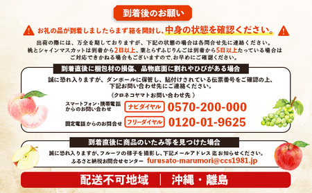 【先行予約】《採れたてを農家直送》 宮城県丸森町産 フルーツ定期便 コース2 （桃・シャインマスカット・りんご）【48008】