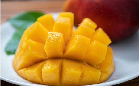 【令和7年6月上旬ごろより発送】完熟マンゴー 2～3玉入り 室戸海洋深層水使用 アップルマンゴー （アーウィン） 先行予約 先行受付 果物 贈答 にも使用可能