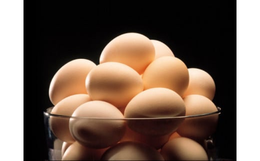 【定期便 3ヶ月】烏骨鶏卵 モールド 40個セット (10個入 × 4パック) たまご 卵 玉子 鶏 高級 高級卵