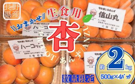 【2026年先行予約】あんず おまかせ生食用(ハーコット・信山丸・おひさまコット・ニコニコット) 計約2kg