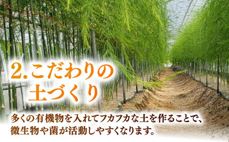 【先行予約 2027年3月～発送】春芽アスパラガス 約500g / アスパラ [ICW005]