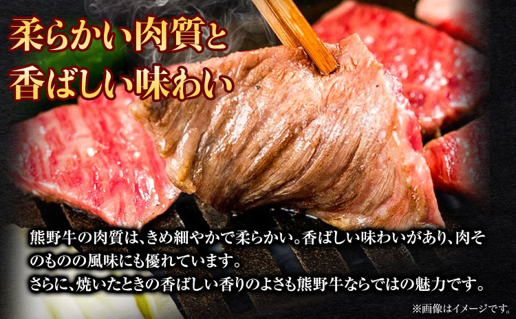 熊野牛 ロース焼肉用500g(粉山椒付) 澤株式会社(Meat Factory)《30日以内に出荷予定(土日祝除く)》 和歌山県 日高町 熊野牛 牛 うし 牛肉 ロース 焼肉 山椒 送料無料