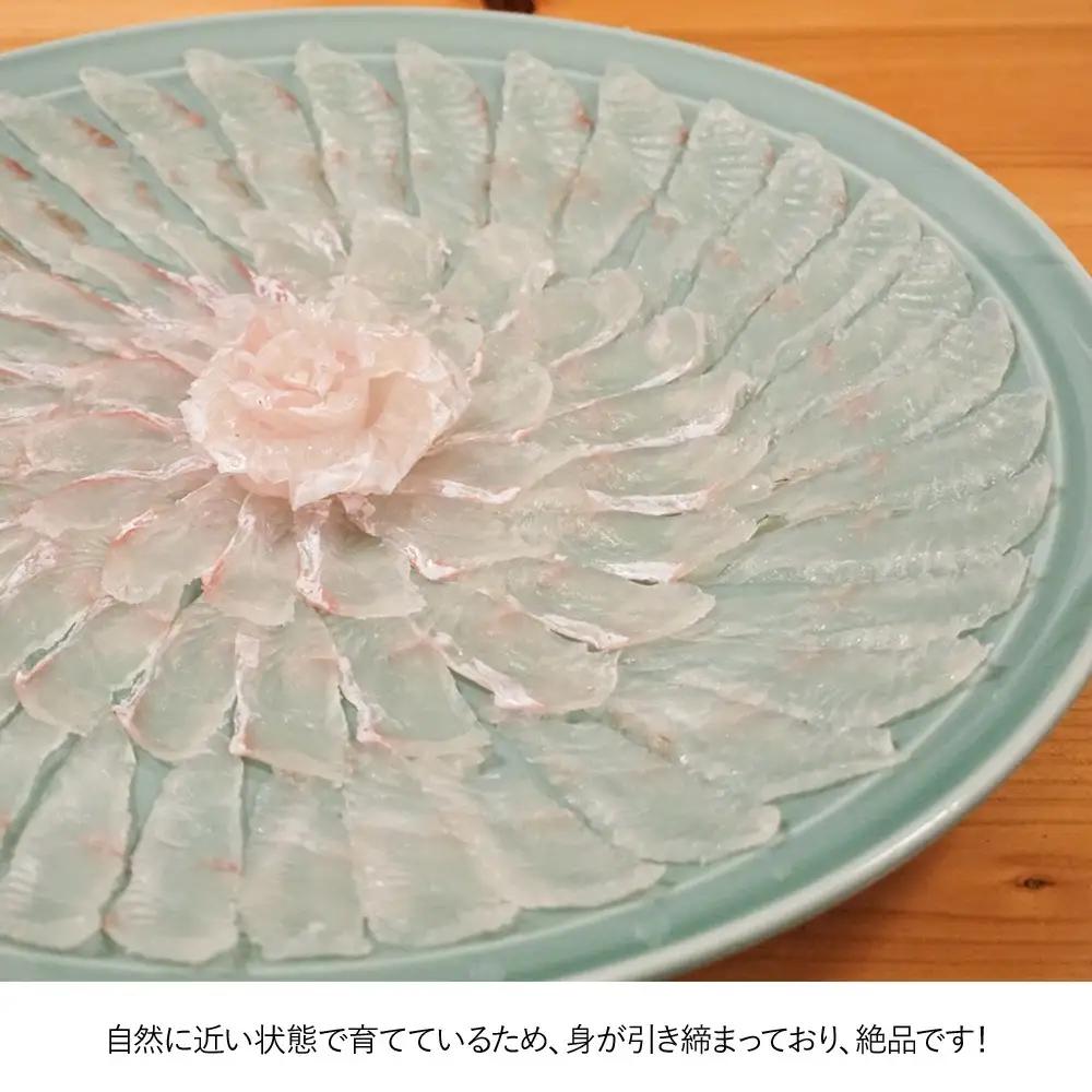 夫婦 仲良く 宗麟 ひらめ | 活 ひらめ 津久見市