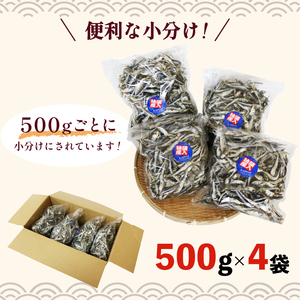 じゃこ いりこ 混ぜり 煮干し じゃこ 500g × 4袋 合計 2kg 2キロ じゃこ にぼし じゃこ 小魚 じゃこ 出汁 じゃこ みそ汁 じゃこ 魚 だし おつまみ だし 魚介 魚類 じゃこ 京都