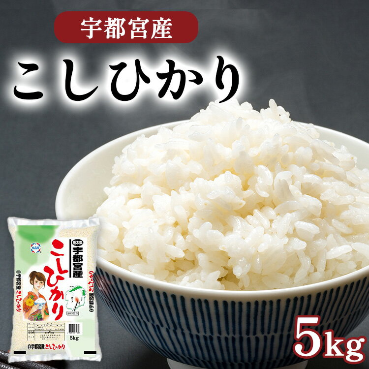 【ふるさと納税】【楽天限定】宇都宮産 こしひかり 5kg