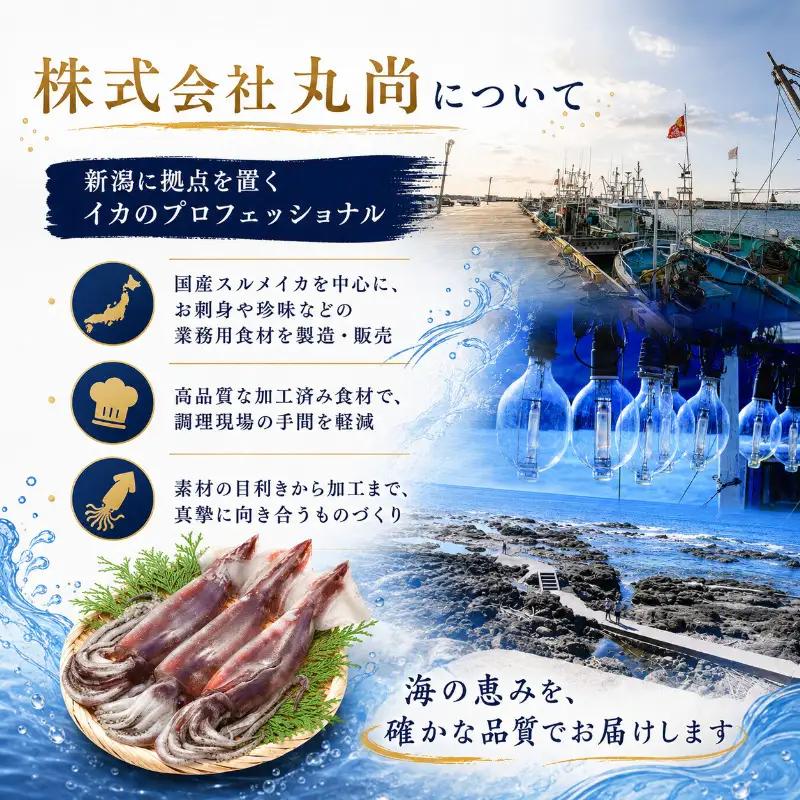丸尚 いか軟骨旨和え 上越産 いか 500g おつまみ