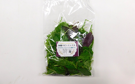 No.160 【毎月定期便6回】朝採りお日様リーフ5種セット