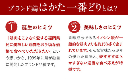 はかた一番どり 手羽元 4500g 合計4.5kg 約300g×15パック《30日以内に出荷予定予定(土日祝除く)》 大容量 鶏肉 鳥肉 冷凍  株式会社あらい