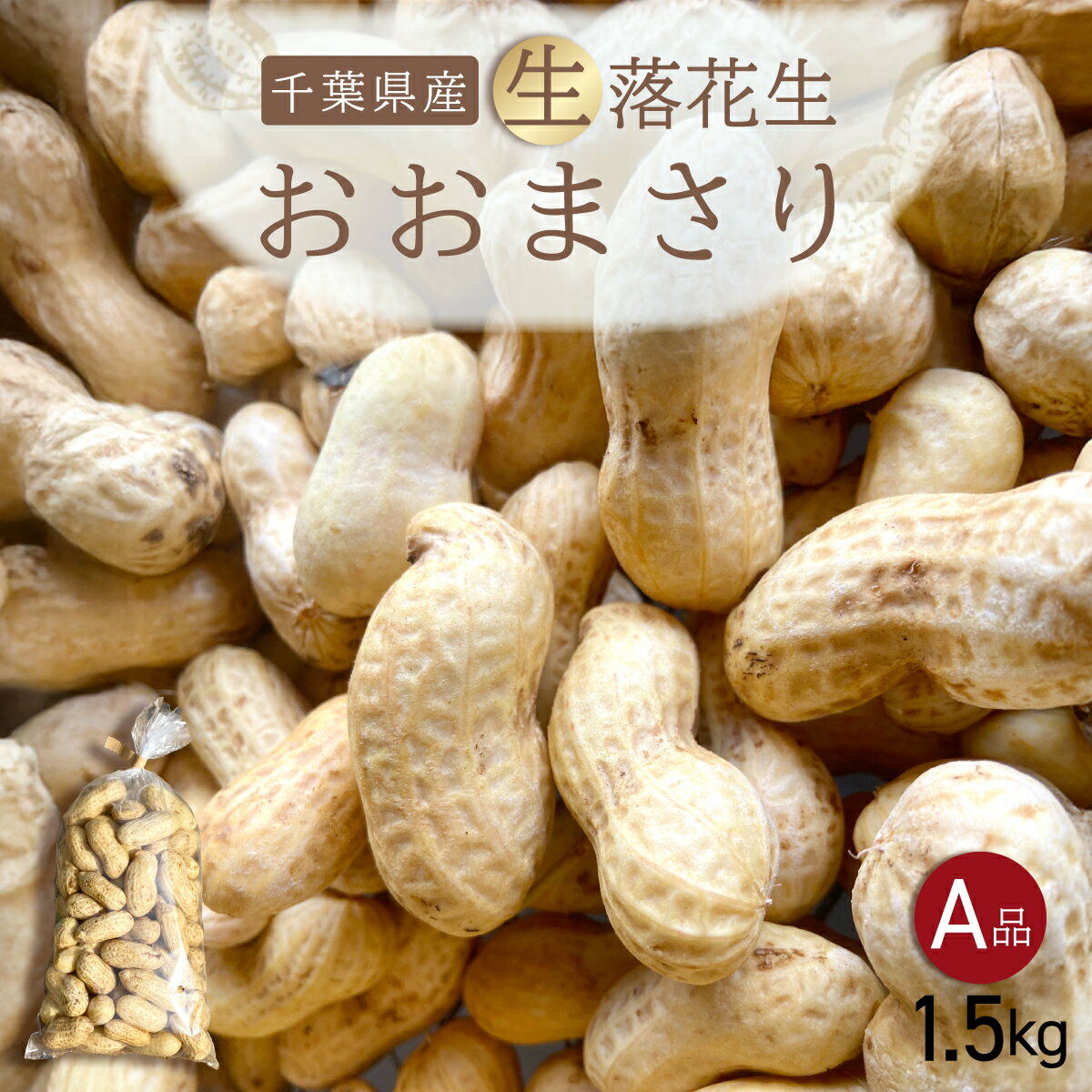 【ふるさと納税】 【先行受付・9月上旬より順次発送！】おおまさり 生落花生 1.5kg／ふるさと納税 落花生 生 生落花生 おおまさり 生おおまさり A品 大粒 希少 旬 季節限定 ふっくら 柔らか ほくほく 甘い 塩ゆで おやつ おつまみ 千葉県 山武市 SMAH009