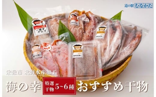 【道の駅むなかた】 北野水産加工おすすめ干物詰合せ_HA1819