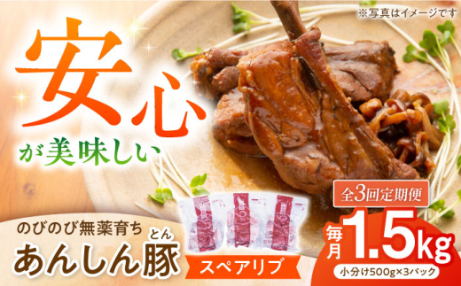 【3回定期便】あんしん豚 スペアリブ 1.5kg 豚肉 小分け 国産 白川町 / 藤井ファーム [AWAF016]