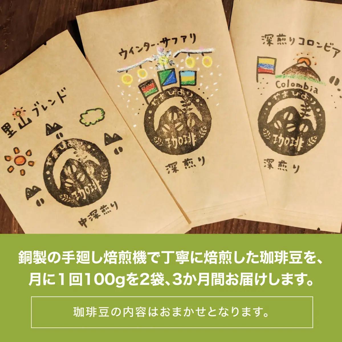 【定期便】【豆のまま】やまびより珈琲【珈琲豆100g 2袋×3か月分】 飲み比べ 2種類  HNNAF008