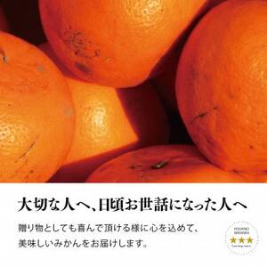 【訳あり】星乃せとか 柑橘の大トロ(5kg)【C45-97】【1650682】