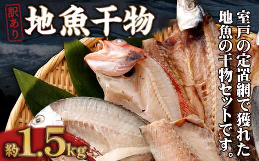【訳あり】地魚干物セット 約1.5kg お楽しみ 干物 おかず おつまみ 魚 魚介類 惣菜 傷あり ご家庭用 冷凍 10000円 1万円 送料無料