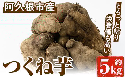 
            ＜先行予約受付中！2025年11月以降順次発送予定＞つくね芋(大薯)(約5kg) 鹿児島県 阿久根市 つくね芋 大薯 だいじょ大和芋 山芋 とろろ【松永青果】akn053-12
          