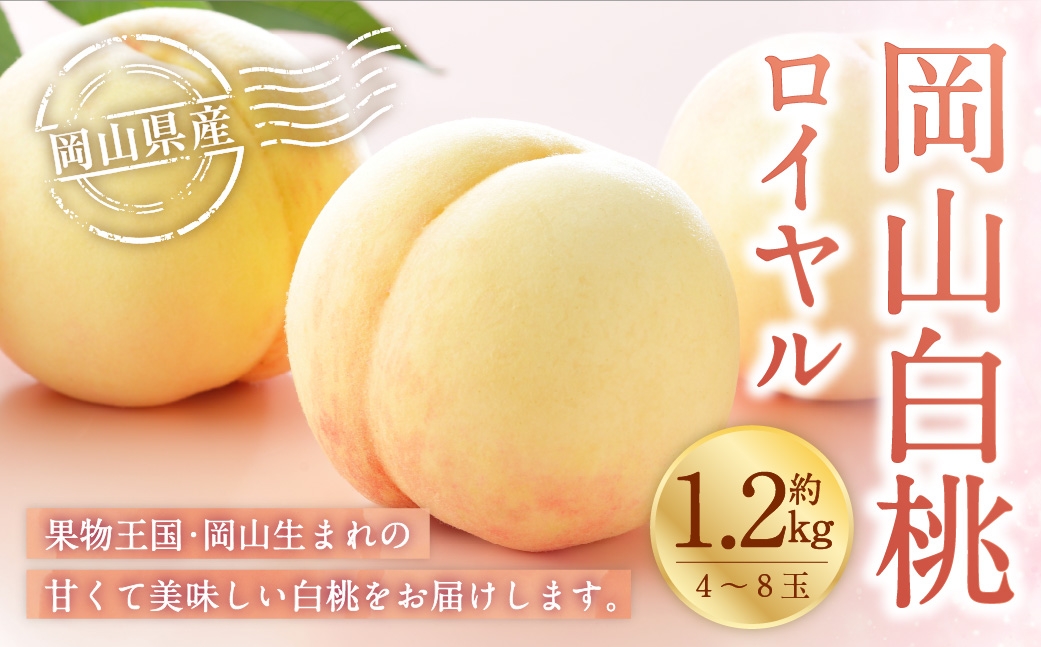 
                  岡山白桃 ロイヤル 4～8玉 約1.2kg 岡山県産 白桃 桃 もも モモ くだもの 果物 果実 フルーツ 国産 ギフト 贈り物 【 2026年7月上旬～8月下旬発送予定 】
                