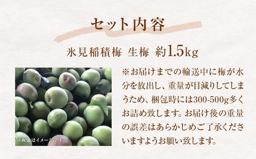 【先行受付】氷見稲積梅 生梅 梅MIX サイズいろいろ ＜2026年6月下旬発送予定＞ 富山県 氷見市 梅  青梅 うめ 手作り 梅干し 梅干 梅シロップ 梅酒づくり 梅仕事