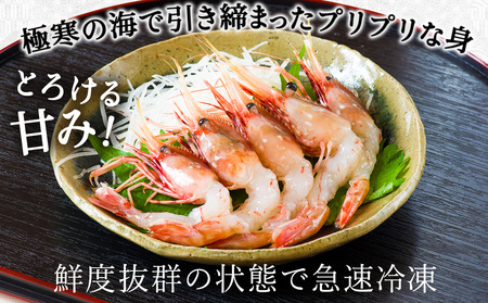 お刺身ボタンエビ500g大中【配送不可地域：離島】【1381002】