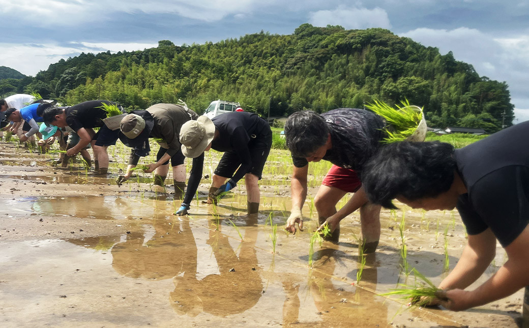 福岡県産幻の天日干し米 5kg