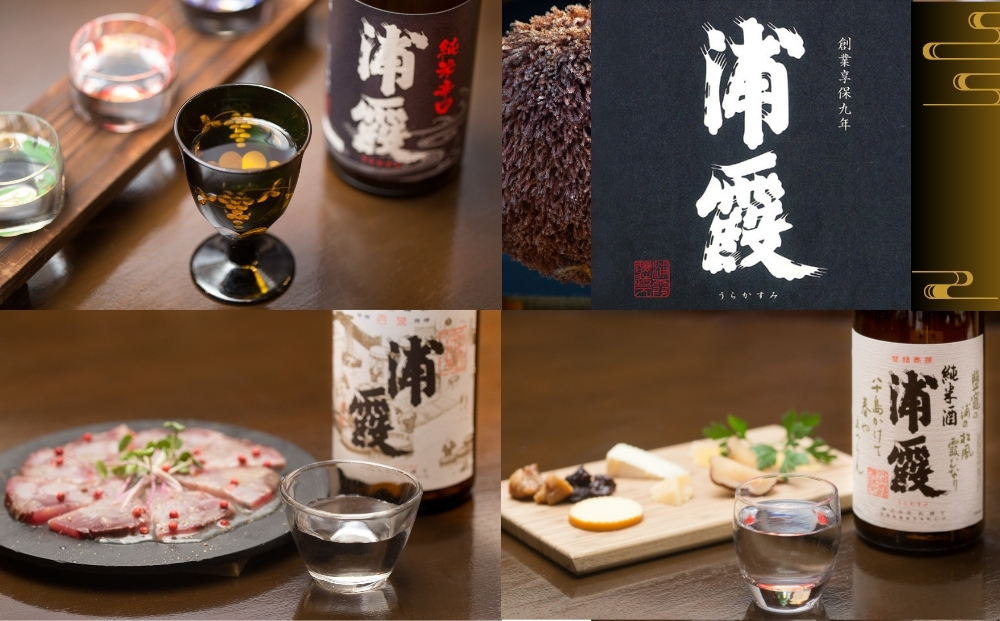 日本酒 浦霞飲み比べ 3本セット 宮城県 佐浦 四合瓶 720ml 純米辛口 純米酒 本仕込 贈答品 贈り物 ギフト プレゼント お歳暮 お中元 父の日 母の日