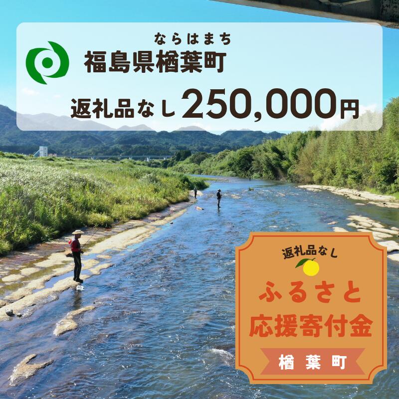 【ふるさと納税】【返礼品なしの寄附】福島県楢葉町 1口：250,000円 ［福島県 福島 楢葉町 寄附 おうえん 応援 しえん 支援 応援寄付金 寄付のみ 返礼品なし 返礼品なしの寄付 250,000円］
