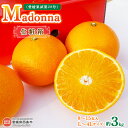 【ふるさと納税】予約受付 まどんな ＜Madonna（愛媛果試第28号） 約3kg 化粧箱 L〜4Lサイズ 8〜15玉入＞ ※2024年12月初旬から2025年1月中旬迄に順次出荷します。マドンナ 柑橘 果物 フルーツ みかん ミカン ギフト 贈答用 贈り物 お歳暮 鴻上農園 愛媛県 西条市 【常温】