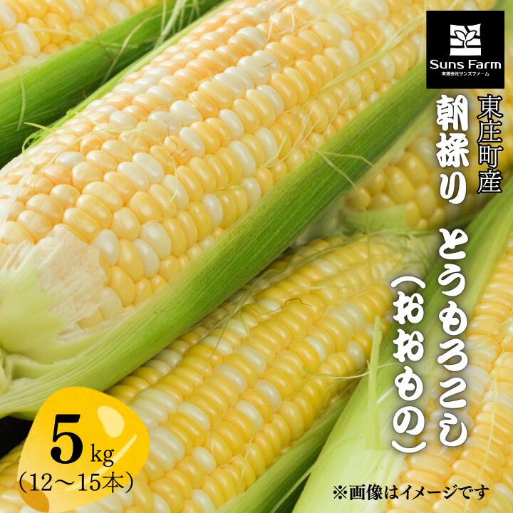 【ふるさと納税】東庄町産　朝採り　とうもろこし（おおもの）　5kg ／ とうもろこし トウモロコシ おおもの 朝採り 産地直送 千葉県 東庄町 送料無料