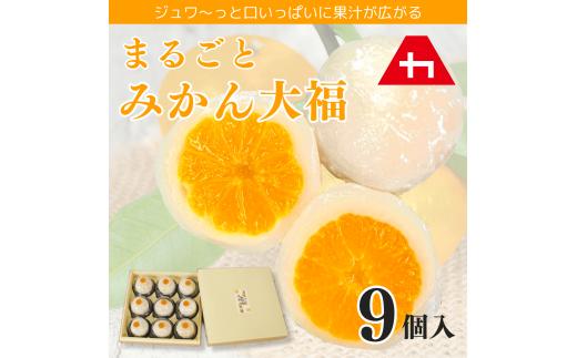 まるごとみかん大福 9個入り