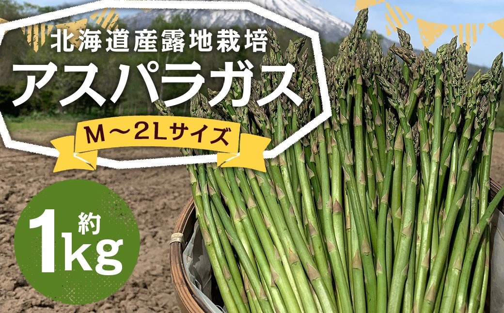 
            北海道産 露地栽培 アスパラガス M～2L 約1kg 【2026年5月下旬～6月上旬迄発送予定】 グリーンアスパラガス アスパラ 野菜 北海道 京極町 冷蔵
          