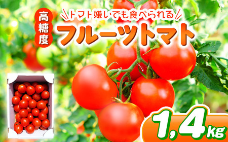 フルーツトマト1.4㎏ | 野菜 トマト フルーツトマト 中玉トマト 大容量 とまと 千葉 君津 きみつ