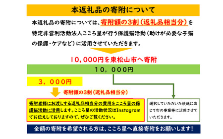 【お礼の品なし】保護猫活動支援〜野良猫から地域で見守るさくら猫に〜 寄付額10,000円  猫 保護 支援 保護猫 ねこ 猫 ネコ 里親 猫 こころ星 猫 保護活動支援 東松山 埼玉