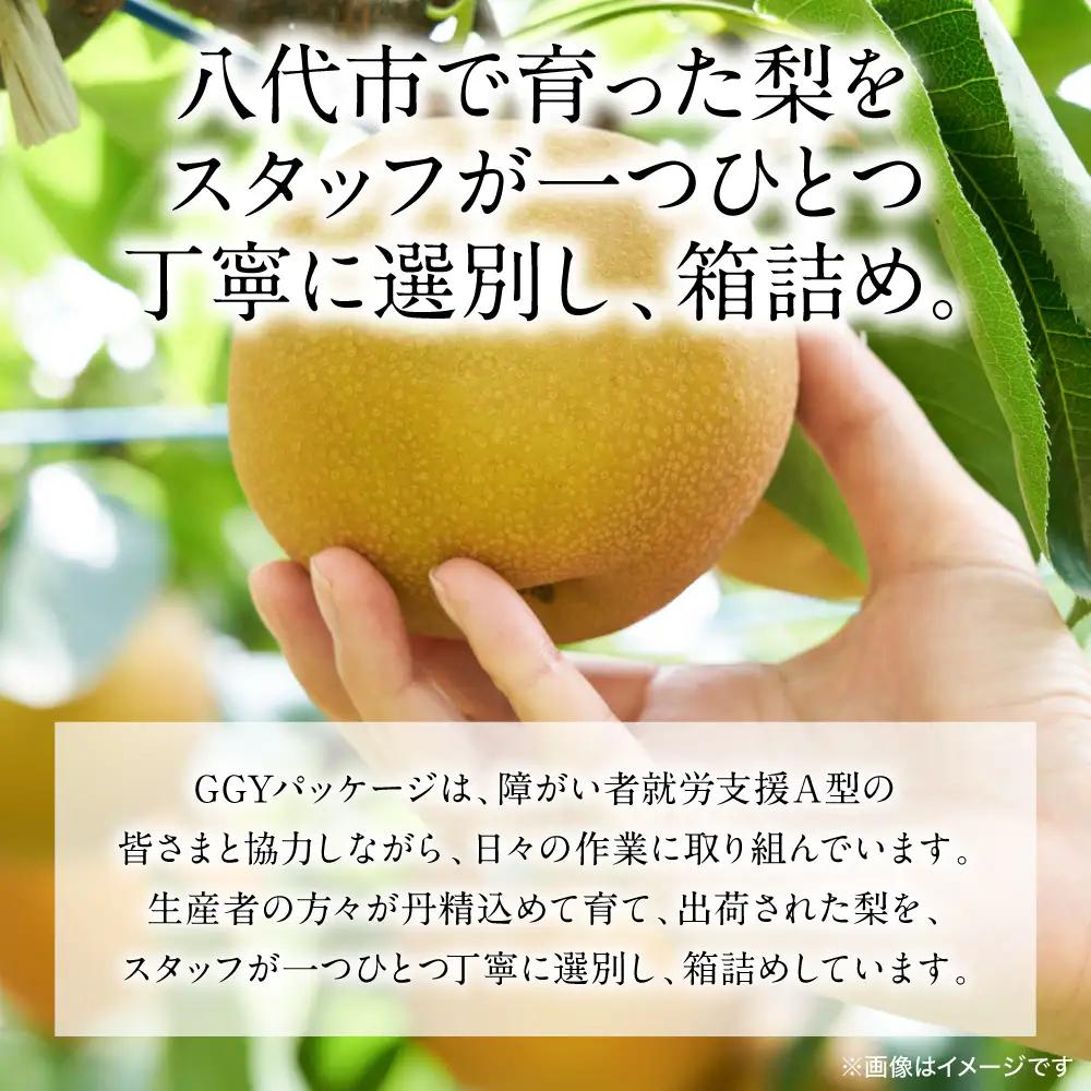 【先行予約】 新高梨 約5kg (5～20玉)  梨 なし ナシ フルーツ くだもの 果物 旬 熊本県 八代市 【2026年9月中旬より順次発送】