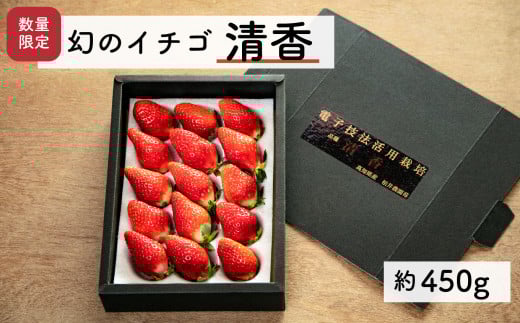【先行予約・2026年3月】数量限定 いちご 清香 1箱（約450g） 希少品種 限定品 苺 産地直送 農家直送 甘い 大きい 果物