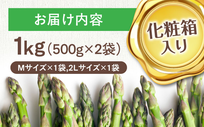 アスパラ 1kgアスパラ アスパラガス グリーンアスパラ   野菜 春野菜  旬野菜