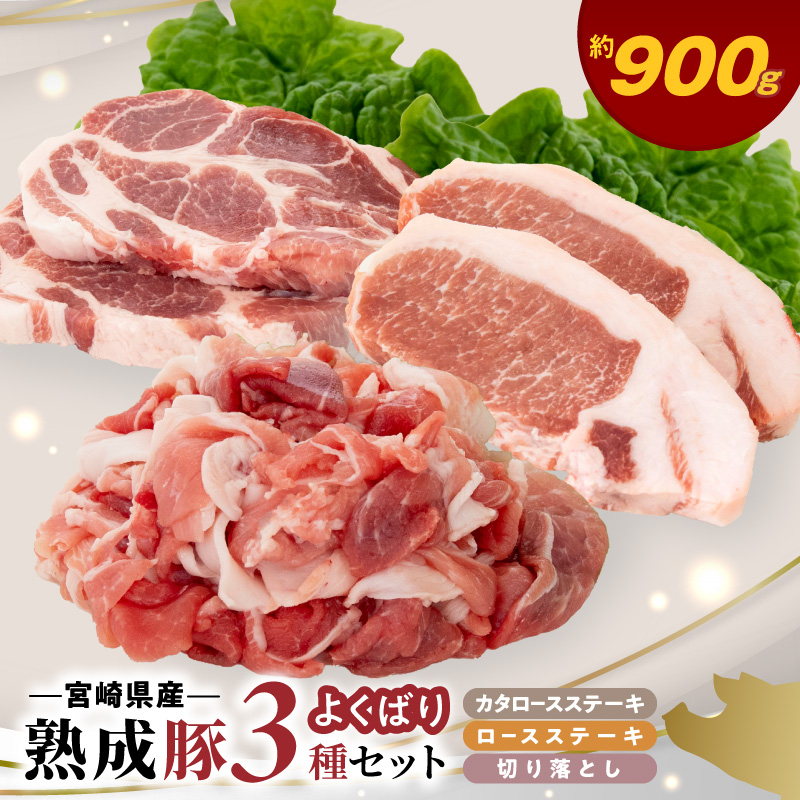 宮崎県産熟成豚 よくばり3種セットB-2（ステーキ2種 各2個/切り落とし2個）N0105-YA6608 ステーキ2種 各2個/切り落とし2個