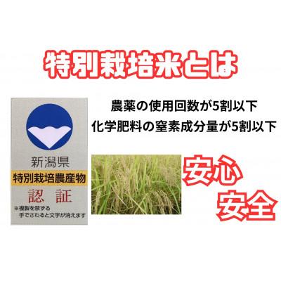 ふるさと納税 南魚沼市 安心安全の新潟県南魚沼産特別栽培米コシヒカリ　5kg　新潟県認証 |  | 01