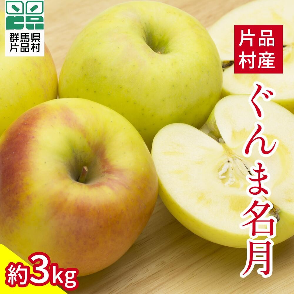 
            ぐんま名月 りんご 約3kg
          