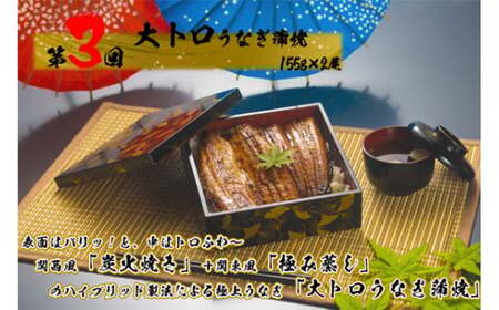 1989-1 【定期（全3回）】大人気！鯉家の絶品蒲焼ブランドうなぎ食べ比べセット【国産・手焼き備長炭】 KN040-T05 魚 冷凍 鰻