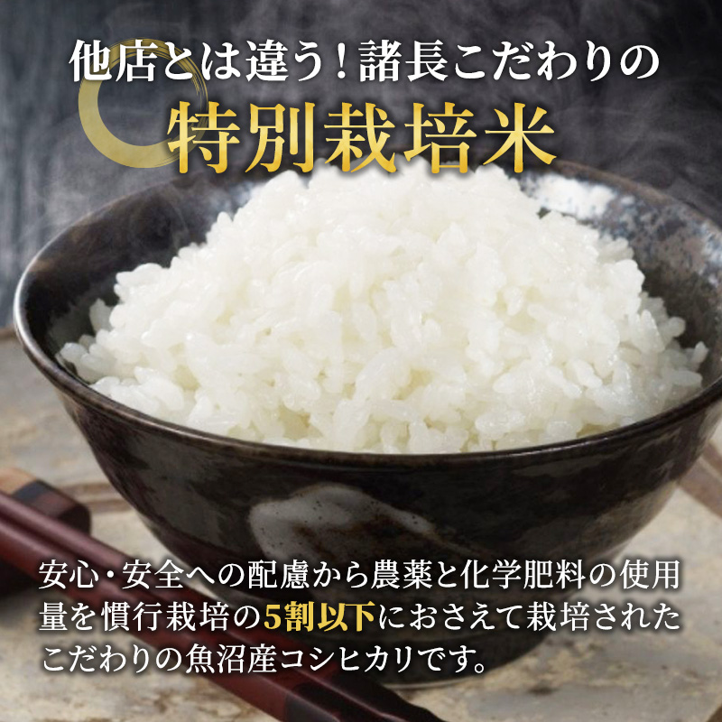令和7年産 【特別栽培米】 お米アドバイザー厳選 魚沼産コシヒカリ (精米) 5kg （ 米 精米 白米 お米 こめ コメ こしひかり コシヒカリ 魚沼 ） 