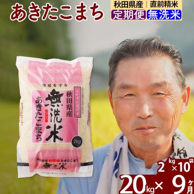 ふるさと納税 北秋田市 令和7年産《定期便9ヶ月》秋田県産あきたこまち20kg【無洗米】|oomr-30809