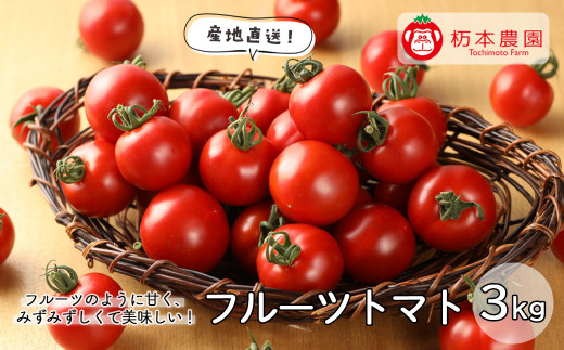 先行予約【期間限定】【発送期間：2026年7月上旬頃から順次発送】産地直送！杤本農園  フルーツトマト 3kg入り ミディトマト とまと トマト 季節限定